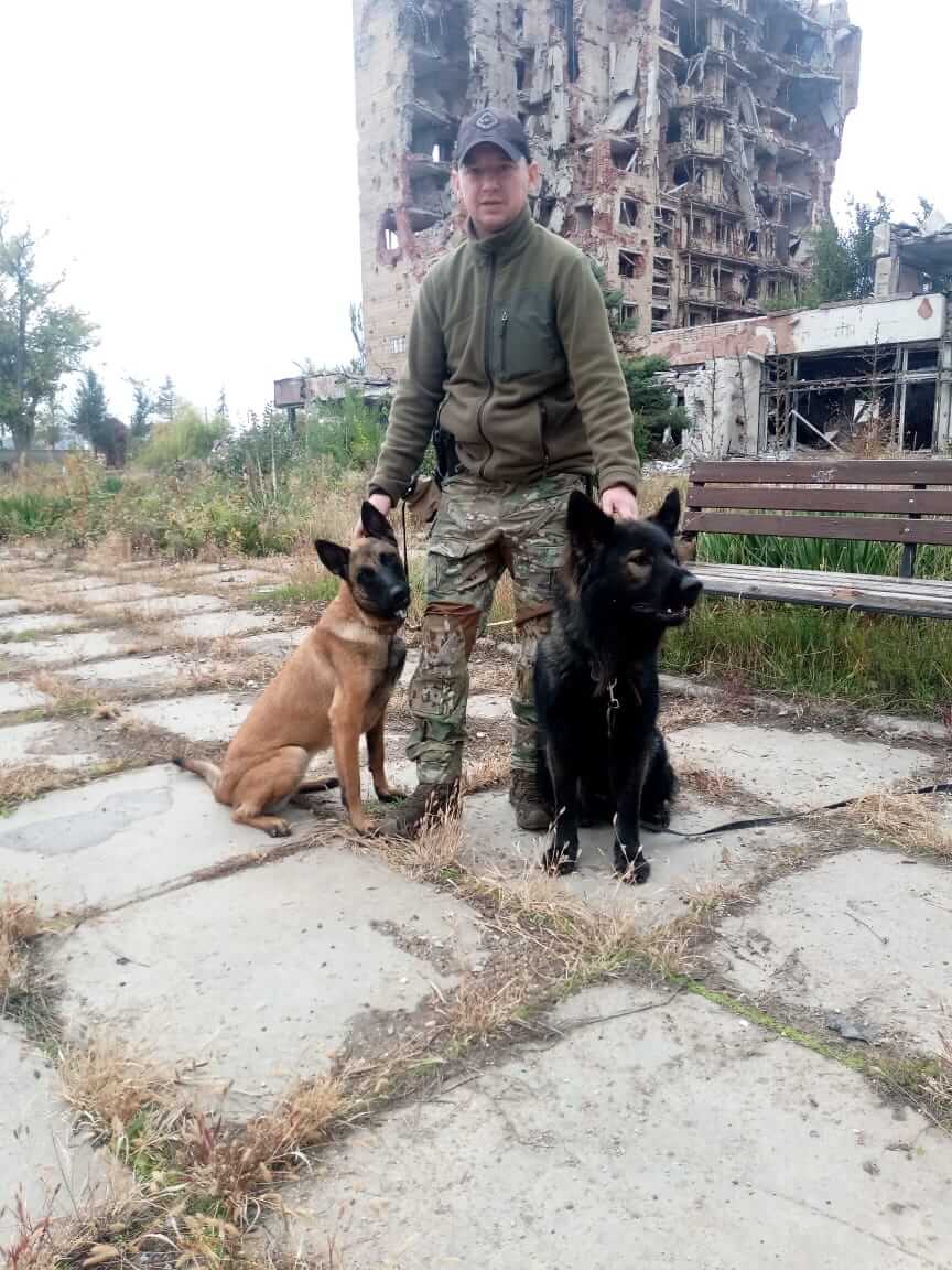 собаки помогают в обнаружении взрывчатых веществ