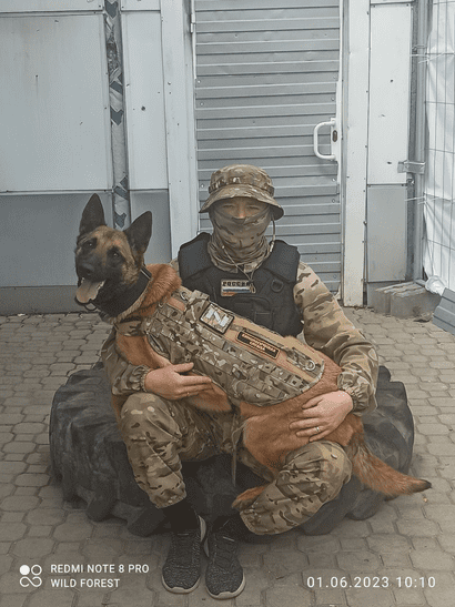 служебная собака в зоне СВО