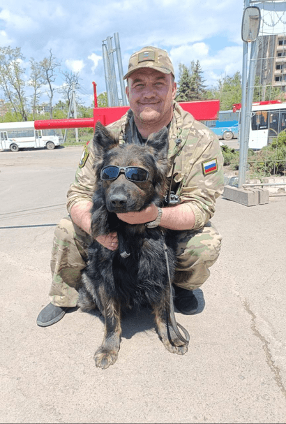 Собака Регул Групп в ДНР